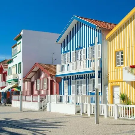Bird's In Love Aveiro