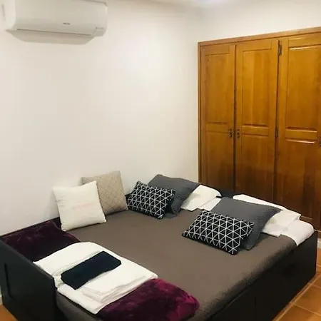 Bird's In Love Tatil Evi Aveiro