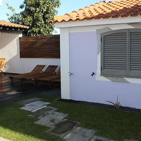 Tatil Evi Bird's In Love