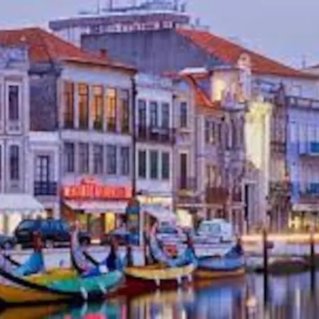 Tatil Evi Bird's In Love Aveiro